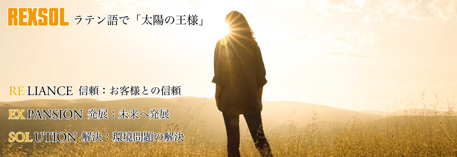 SOLUTION 解決:環境問題の解決